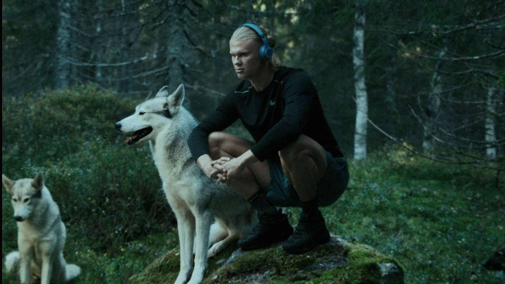 这次培训不 这次培训不