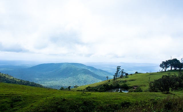 在与某支劲 在与某支劲
